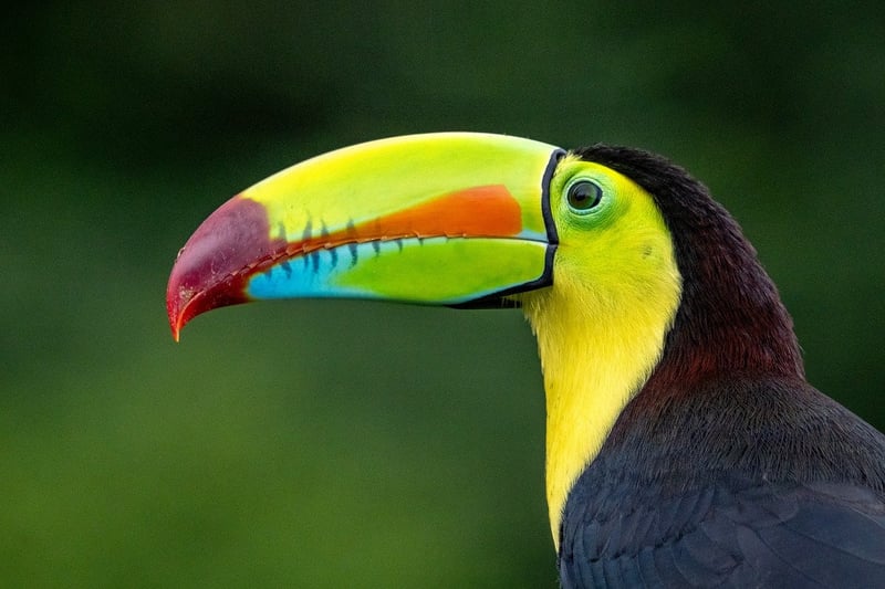 Costa Rica Beach